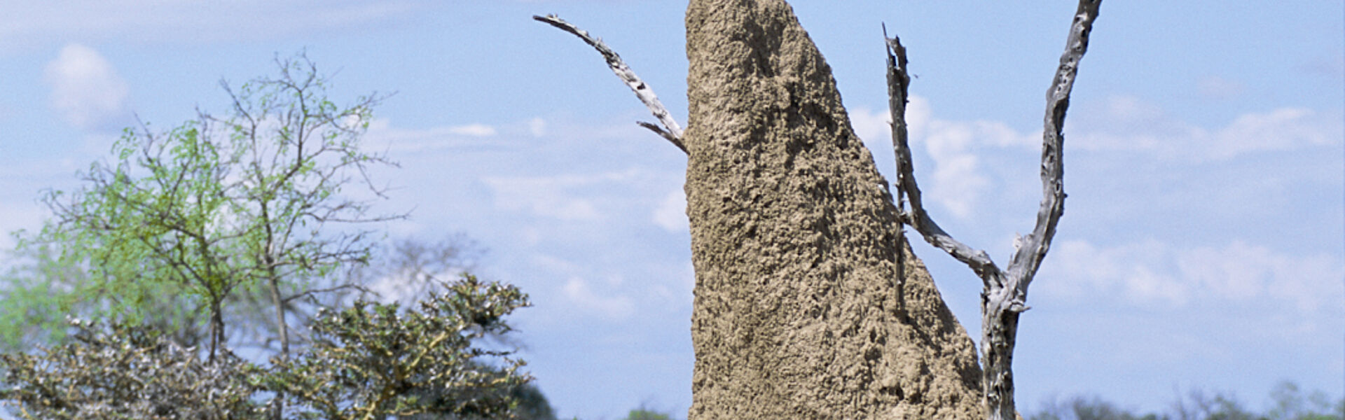 For major construction projects you need specialists